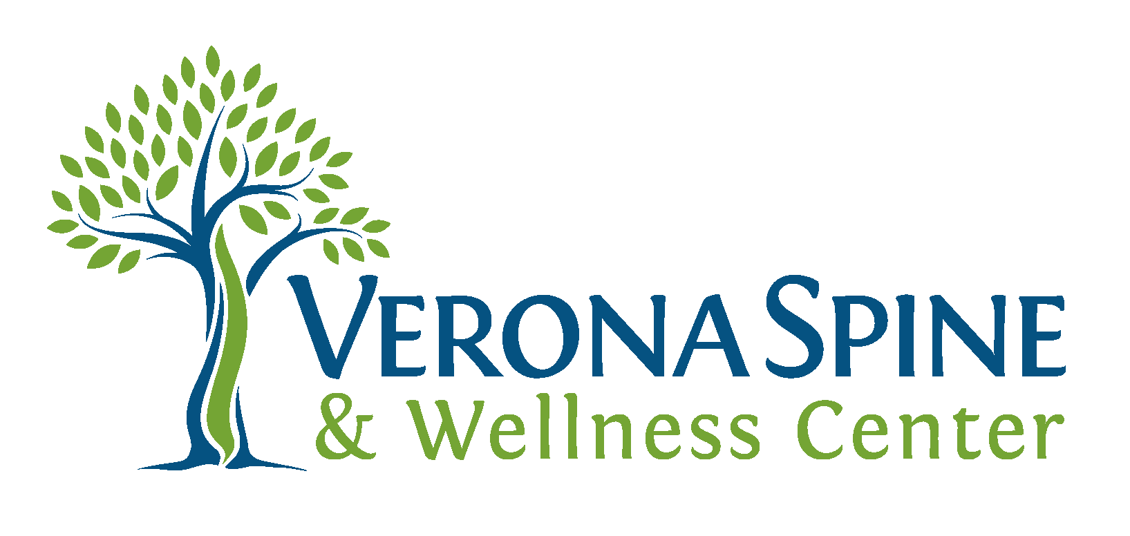 Verona Spine & Wellness Center, links to their site
